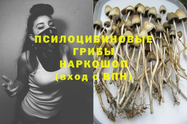 хмурый Белоозёрский