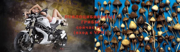 хмурый Белоозёрский