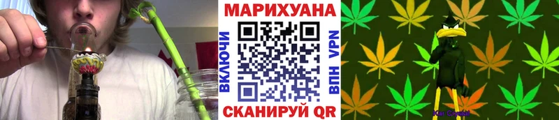 МАРИХУАНА конопля Шуя